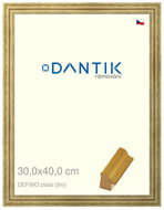 DANTIK frame 30 × 40, DELFINO gold plexi clear - Photo Frame
