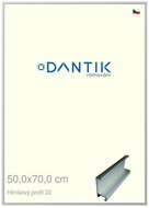 DANTIK frame 50 × 70, ALU profile 7022 Silver matt plexi clear - Photo Frame