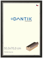 DANTIK frame 50 × 70, TAIGA black plexi clear - Photo Frame