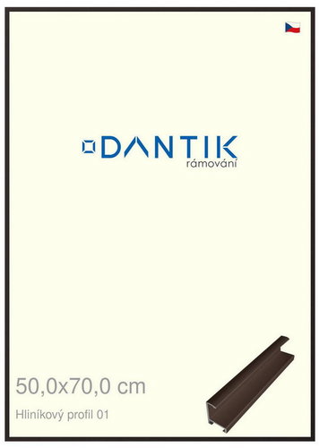 DANTIK frame 50 × 70, ALU profile 7001 Brown matt plexi clear - Photo Frame - Main image