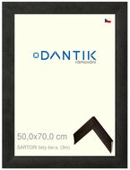 DANTIK frame 50 × 70, SARTORI leaves black. s. plexi clear - Photo Frame