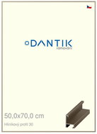 DANTIK frame 50 × 70, ALU profile 6030 champagne plexi clear - Photo Frame
