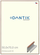DANTIK frame 50 × 70, ALU profile 6030 Walnut veneer lacquer matt plexi clear - Photo Frame