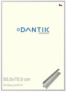 DANTIK frame 50 × 70, ALU profile 7001 Silver matt plexi clear - Photo Frame