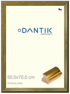 DANTIK frame 50 × 70, ANIVERSA gold plexi clear - Photo Frame
