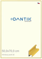 DANTIK frame 50 × 70, ALU profile 6030 Veneer coloured yellow citrus plexi clear - Photo Frame