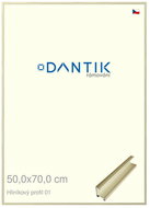 DANTIK frame 50 × 70, ALU profile 7001 gold glossy alternative plexi clear - Photo Frame