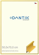 DANTIK frame 50 × 70, ALU profile 6035 Veneer coloured yellow citrus plexi clear - Photo Frame
