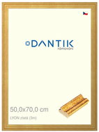 DANTIK frame 50 × 70, LYON gold plexi clear - Photo Frame