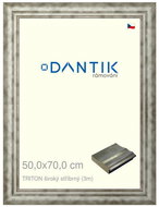 DANTIK frame 50 × 70, TRITON wide silver plexi clear - Photo Frame