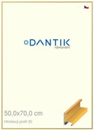 DANTIK frame 50 × 70, ALU profile 6030 veneer coloured yellow plexi clear - Photo Frame