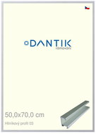 DANTIK frame 50 × 70, ALU profile 7003 Silver matt plexi clear - Photo Frame