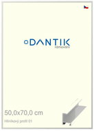 DANTIK frame 50 × 70, ALU profile 6001 Silver glossy plexi clear - Photo Frame