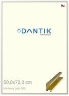 DANTIK frame 50 × 70, ALU profile 7269 Gold glossy plexi clear - Photo Frame
