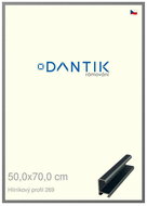 DANTIK frame 50 × 70, ALU profile 7269 Platinum matt plexi clear - Photo Frame