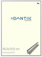 DANTIK frame 50 × 70, ALU profile 7002 Silver matt plexi clear - Photo Frame