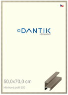 DANTIK frame 50 × 70, ALU profile 6220 champagne plexi clear - Photo Frame