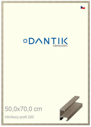 DANTIK frame 50 × 70, ALU profile 6220 champagne plexi clear - Photo Frame - Main image