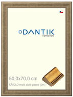DANTIK frame 50 × 70, WING small gold patina plexi clear - Photo Frame