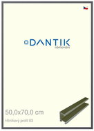 DANTIK frame 50 × 70, ALU profile 7003 Platinum matt plexi clear - Photo Frame
