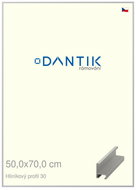 DANTIK frame 50 × 70, ALU profile 6030 Silver matt plexi clear - Photo Frame