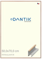 DANTIK frame 50 × 70, ALU profile 6030 Oak veneer lacquer matt plexi clear - Photo Frame