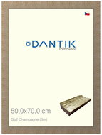 DANTIK frame 50 × 70, Golf champagne plexi clear - Photo Frame