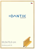 DANTIK frame 50 × 70, ALU profile 6035 veneer coloured yellow plexi clear - Photo Frame