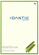 DANTIK frame 50 × 70, ALU profile 7269 Green Emerald polished plexi clear - Photo Frame
