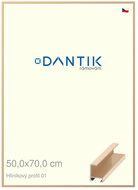 DANTIK frame 50 × 70, ALU profile 6001 gold glossy plexi clear - Photo Frame