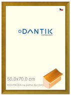 DANTIK frame 50 × 70, clear AU plexiglass swing - Photo Frame