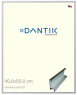 DANTIK frame 40 × 50, ALU profile 7022 Silver matt plexi clear - Photo Frame