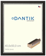 DANTIK frame 40 × 50, TAIGA black plexi clear - Photo Frame