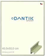 DANTIK frame 40 × 50, ALU profile 6030 veneer coloured green pastel plexi clear - Photo Frame
