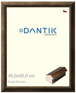 DANTIK frame 40 × 50, Forgia Bronzea plexi clear - Photo Frame