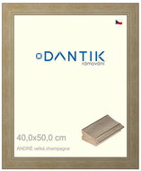DANTIK frame 40 × 50, ANDRÉ large champagne plexi clear - Photo Frame