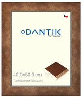 DANTIK frame 40 × 50, TOMAS bronze large plexi clear - Photo Frame