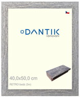 DANTIK frame 40 × 50, RETRO grey plexi clear - Photo Frame