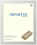 DANTIK frame 40 × 50, LYON White plexi clear - Photo Frame