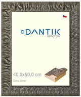 DANTIK frame 40 × 50, Dora Silver plexi clear - Photo Frame
