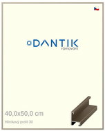 DANTIK frame 40 × 50, ALU profile 6030 champagne plexi clear - Photo Frame
