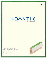 DANTIK frame 40 × 50, EVOQUE green plexi clear - Photo Frame