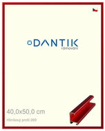 DANTIK frame 40 × 50, ALU profile 7269 Red Trumalin polished plexi clear - Photo Frame