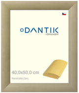 DANTIK frame 40 × 50, Rene white plexi clear - Photo Frame
