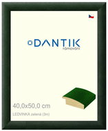 DANTIK frame 40 × 50, LEDVINKA green plexi clear - Photo Frame