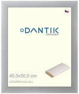 DANTIK frame 40 × 50, LEDVINKA white plexi clear - Photo Frame