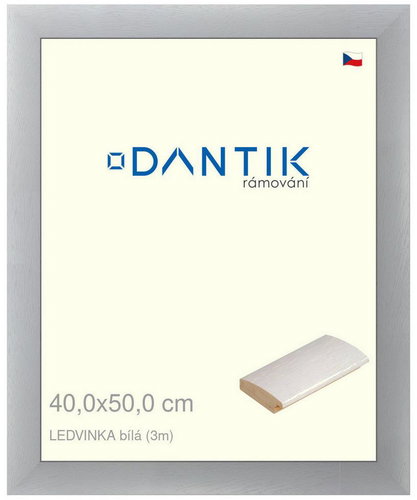 DANTIK frame 40 × 50, LEDVINKA white plexi clear - Photo Frame - Main image