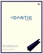 DANTIK frame 40 × 50, ALU profile 7002 blue Azur matt plexi clear - Photo Frame