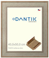 DANTIK frame 40 × 50, TOOTH silver plexi clear - Photo Frame