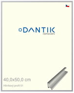 DANTIK frame 40 × 50, ALU profile 7001 Silver matt plexi clear - Photo Frame